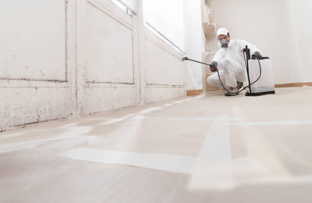 24/7 Emergency Mold Testing experts in Holly Springs, NC