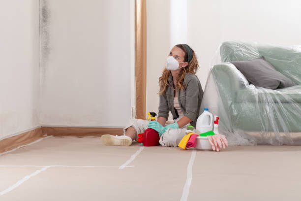 Reliable Mold Testing contractor in Holly Springs, NC by WQB Mold Removal